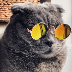 Meet your Posher, Dapree